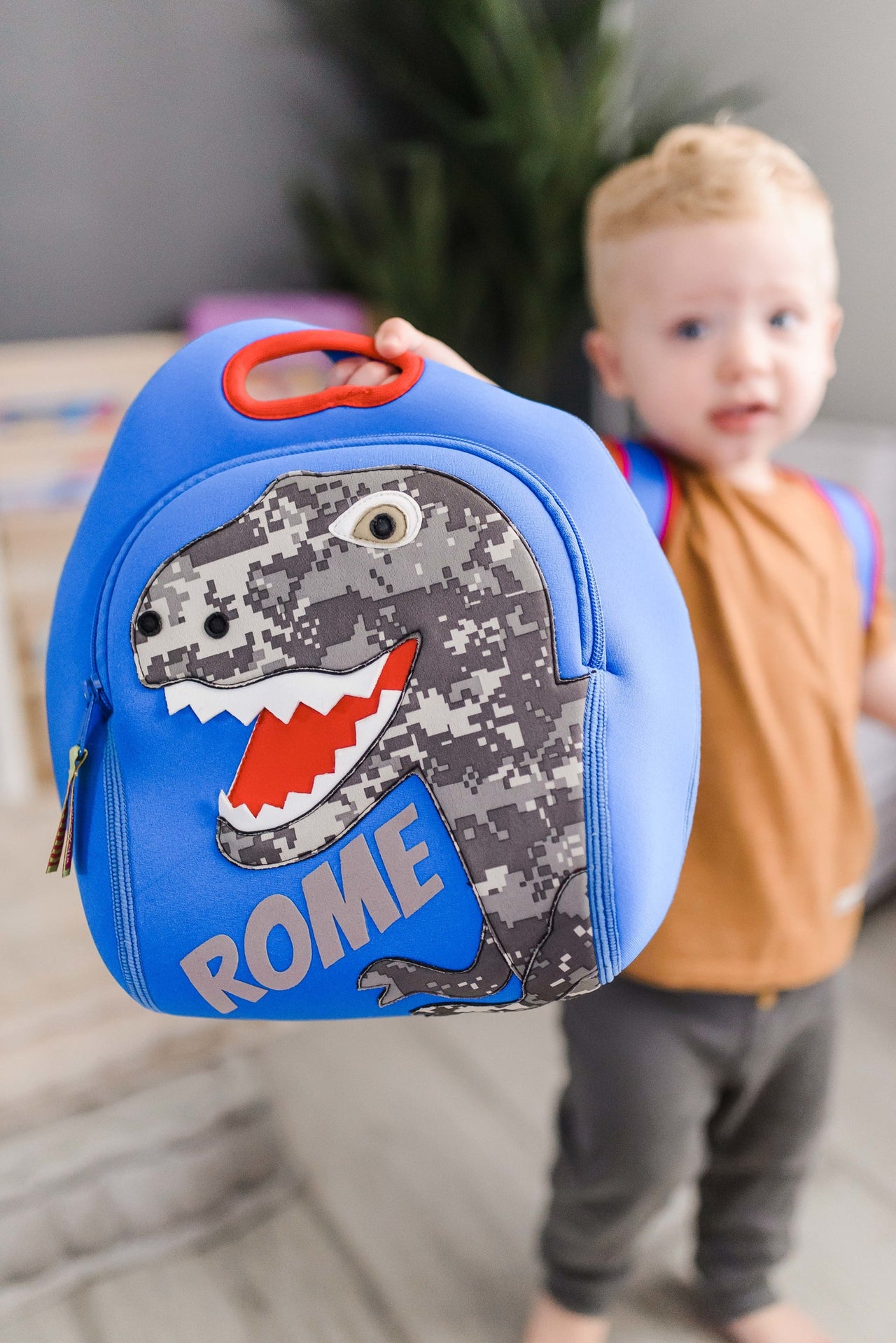 Dinosaur Backpack and Lunch Box